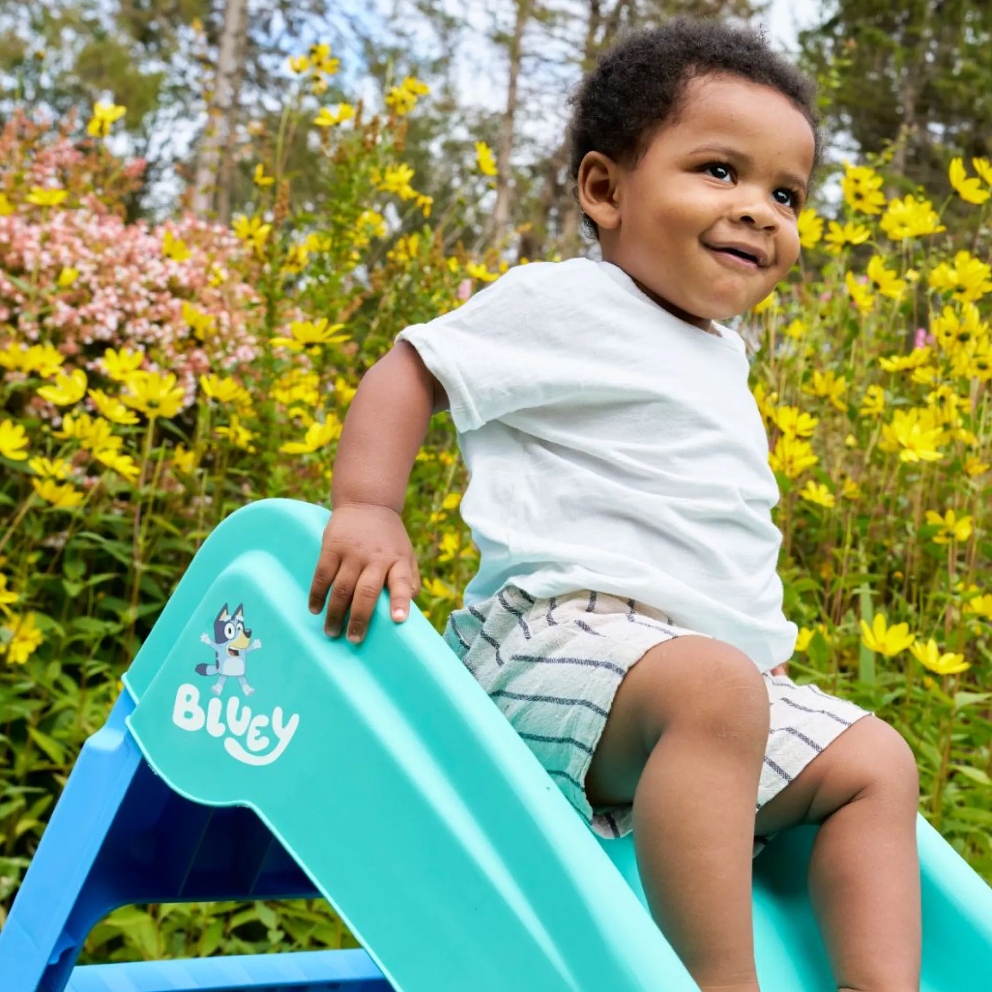 Bluey Plastic Folding Slide