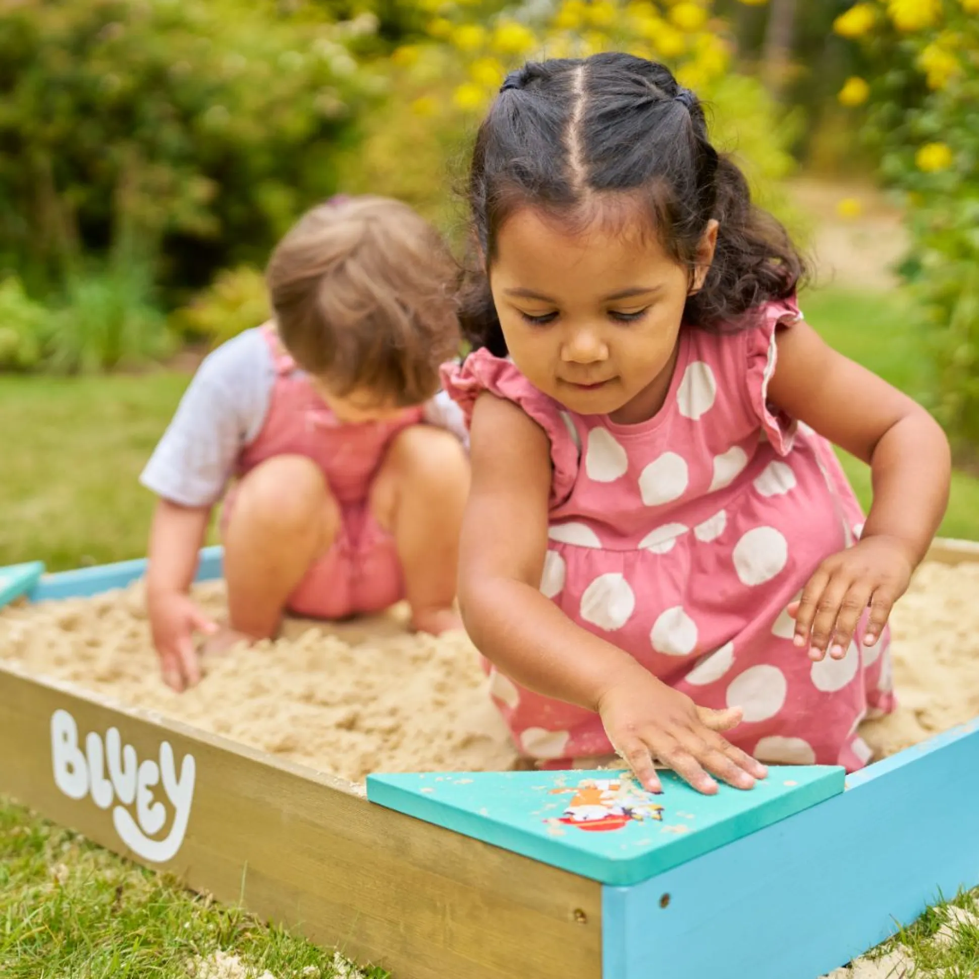 Bluey Wooden Sandpit with Cover