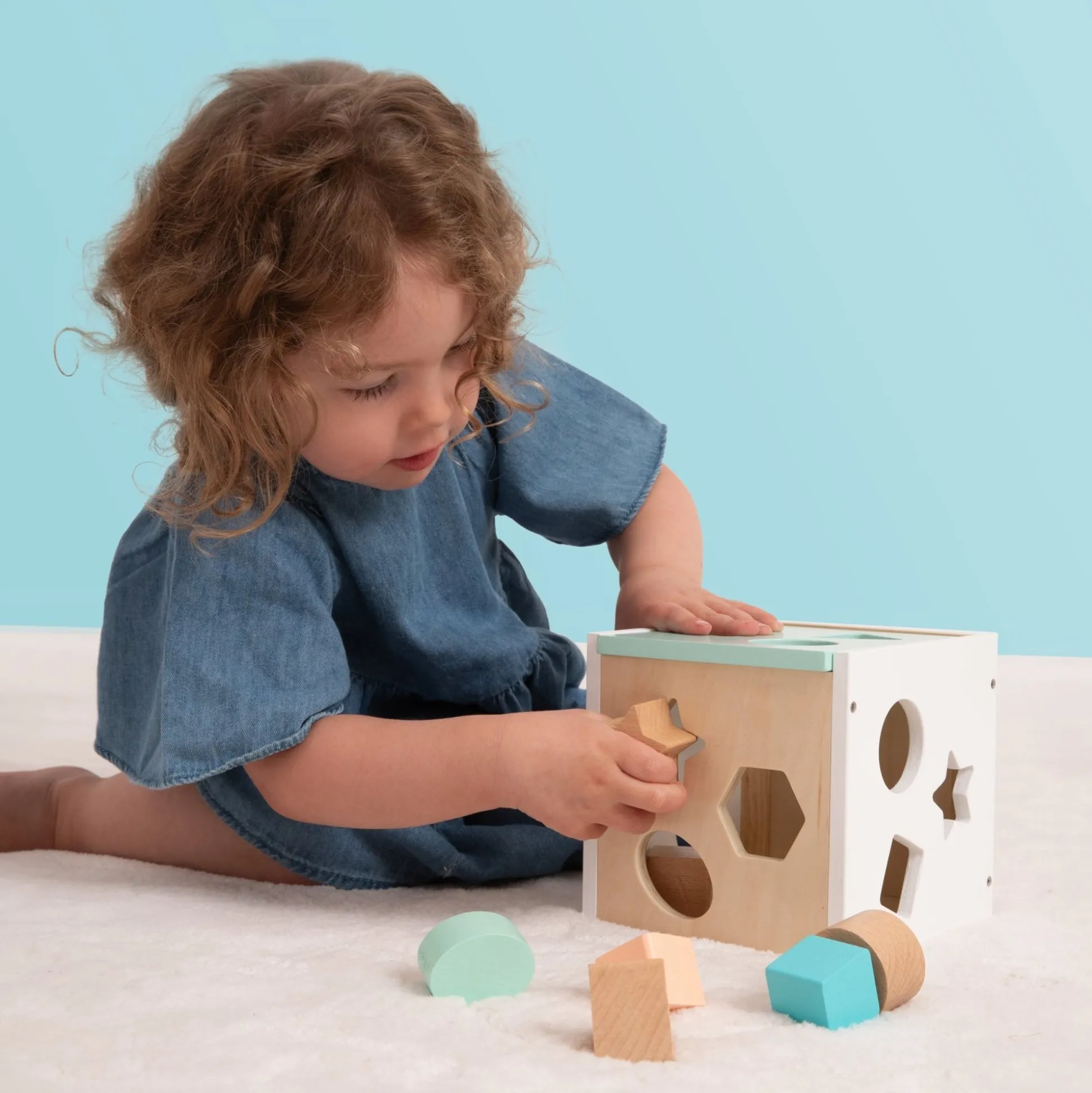 Owl & Fox Wooden Shape Sorter - FSC® certified